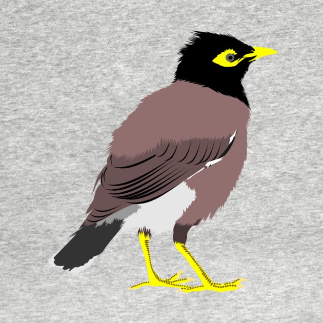 Common Myna by stargatedalek